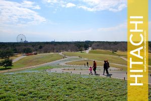 Hitachi Seaside Park