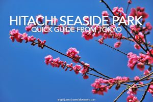 Hitachi Seaside Park