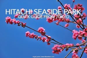 Hitachi Seaside Park