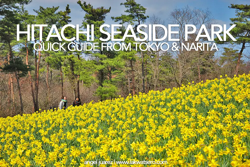 Hitachi Seaside Park