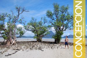 Malangabang Island