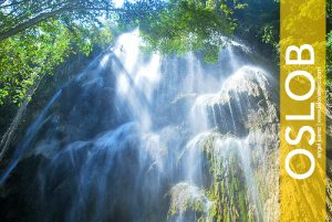 Tumalog Falls