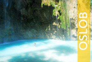 Tumalog Falls