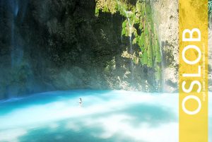 Tumalog Falls