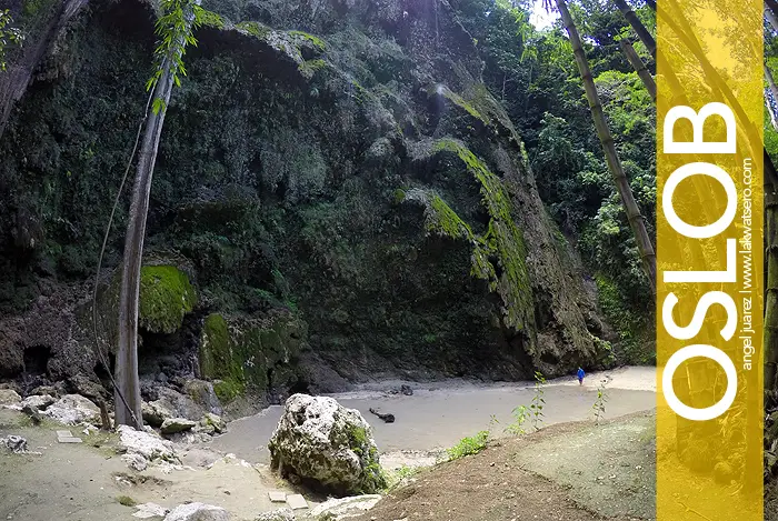 Tumalog Falls