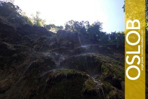 Tumalog Falls