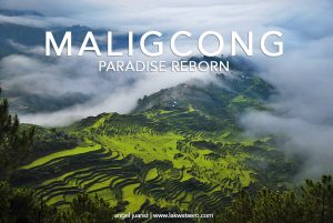 Maligcong