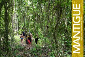 Mantigue Island