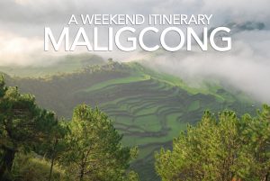 Maligcong