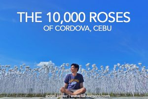 10000 Roses