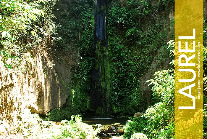 Ambon-Ambon ng Bagong Pook