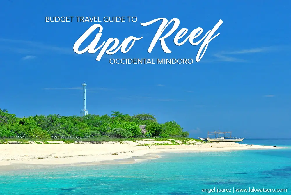 apo reef tour package 2022