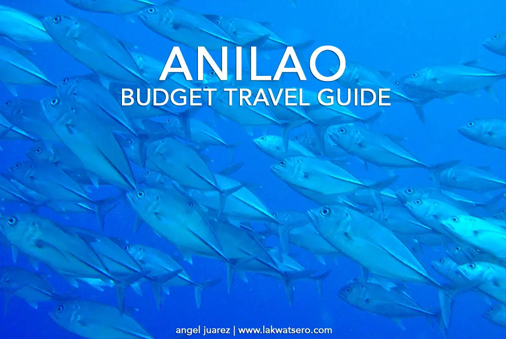 Anilao