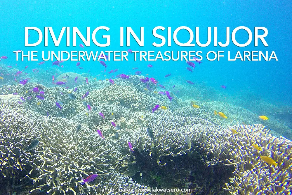 Scuba Diving in Siquijor