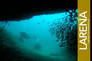 Scuba Diving in Siquijor