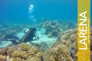 Scuba Diving in Siquijor