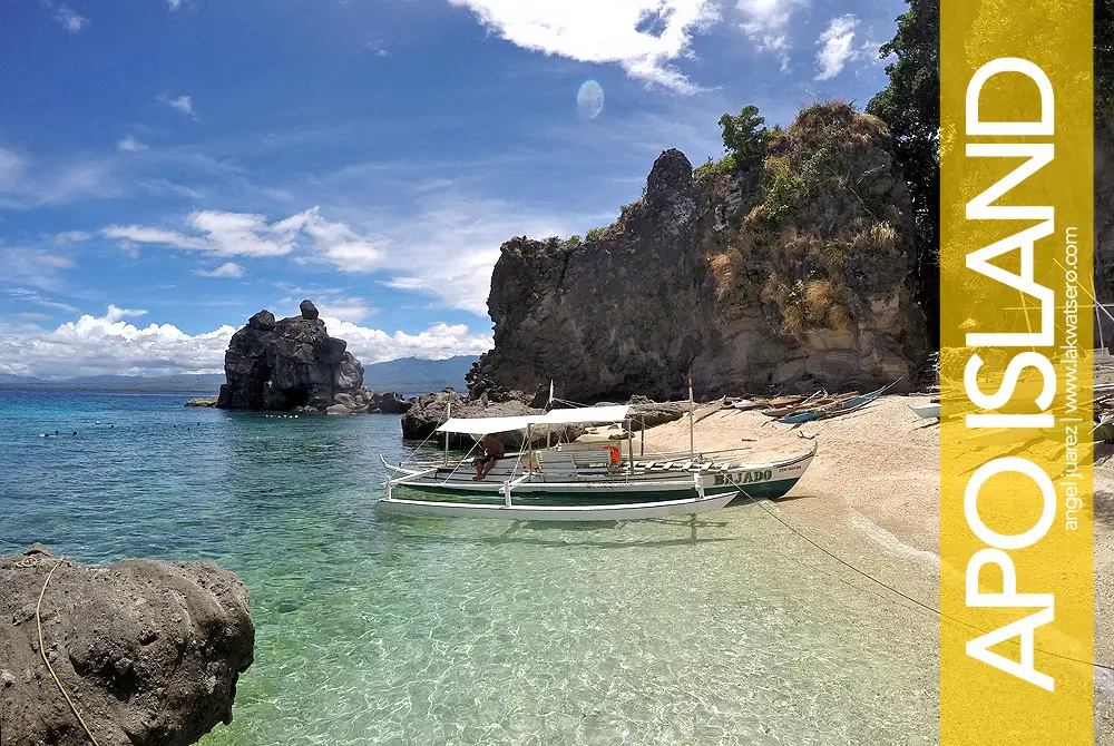 Apo Island