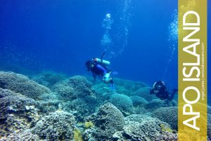 Apo Island