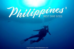 Best Dive Sites