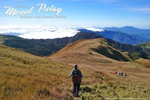 Mount Pulag