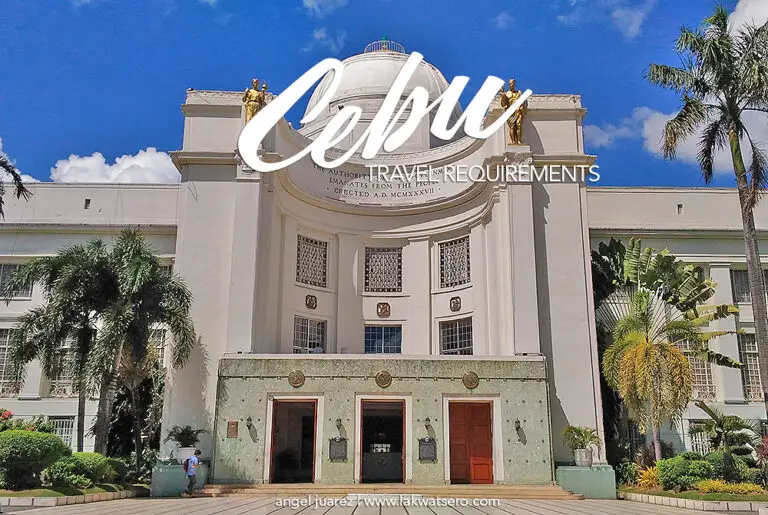 cebu travel requirements august 2022