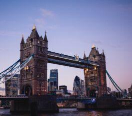 Photo by Susan Q Yin on Unsplash