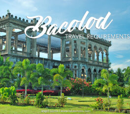 Bacolod Travel Requirements