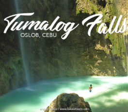 Tumalog Falls