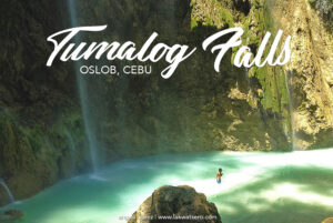 Tumalog Falls