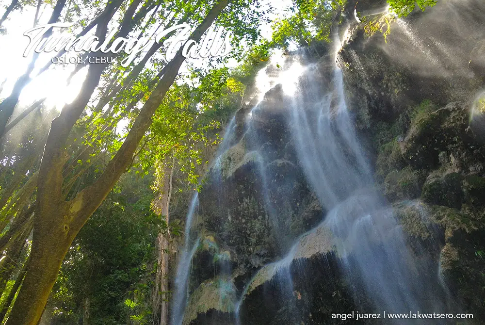 Tumalog Falls