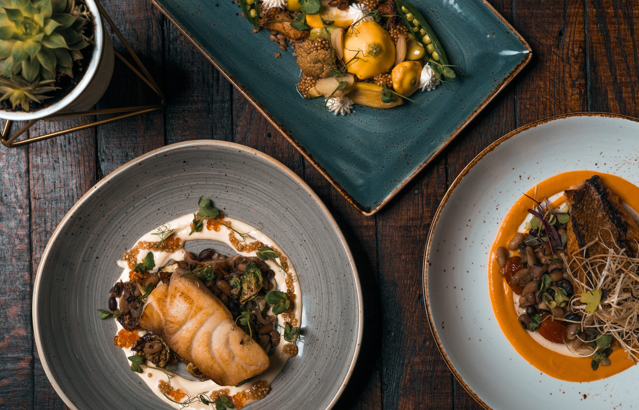 Experience the Fine Dining Scene!